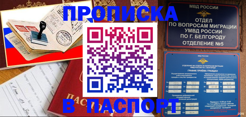 купить прописку в Боровичах